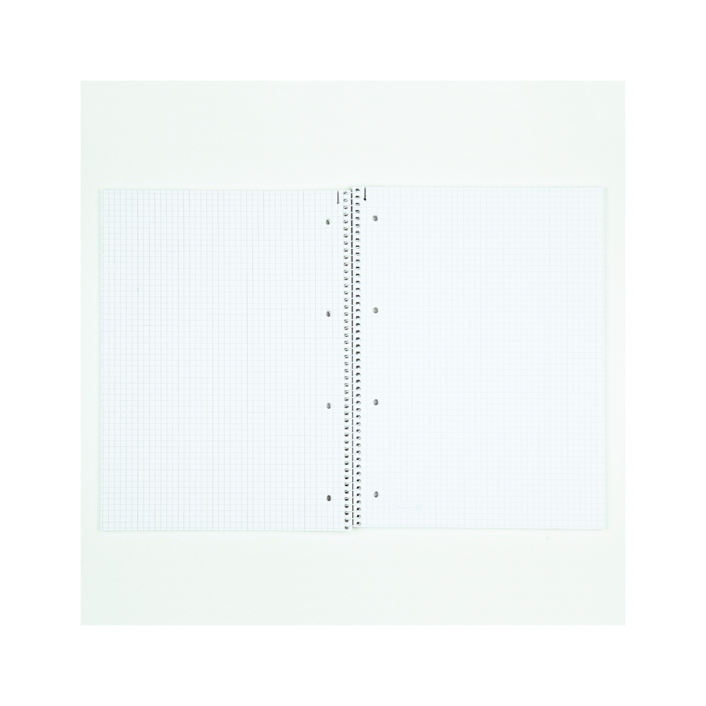 Книга записна Brunnen Коледж-блок А4 DUO, лінія + клітинка, 80 аркушів (10 679 74)