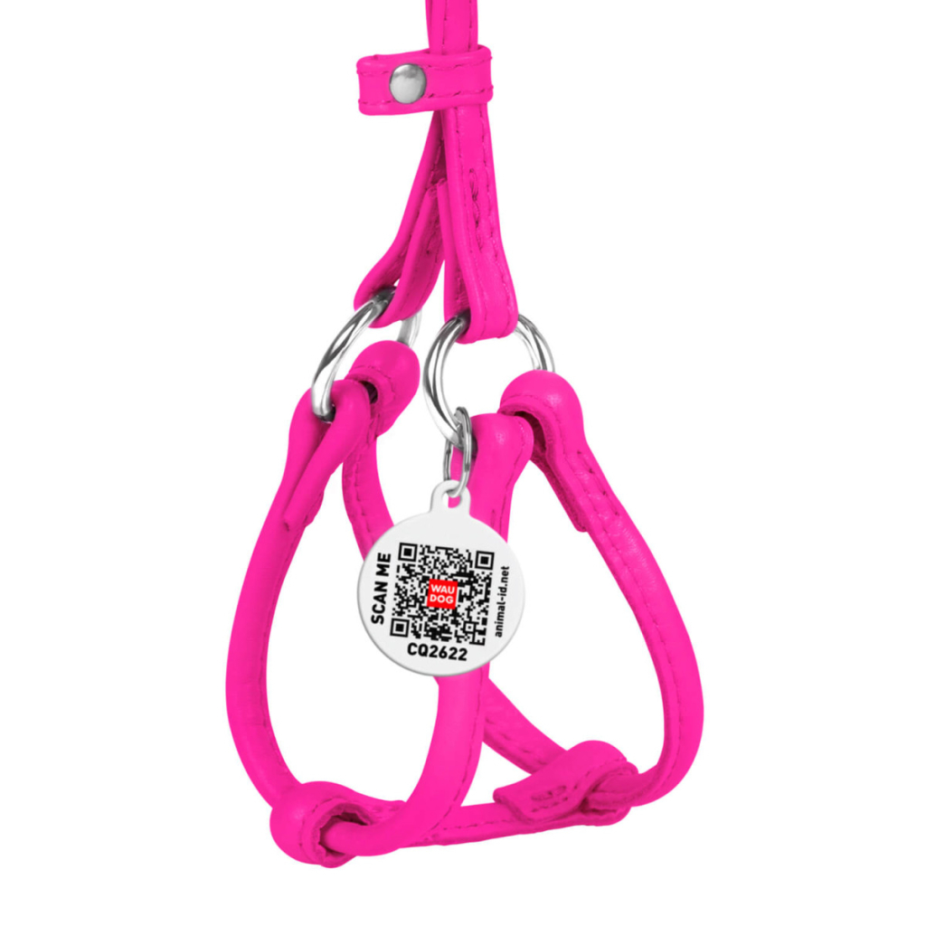 Шлея для собак WAUDOG Glamour з повідцем кругла Д 6 мм А 26-46 см В 30-50 см рожева (34017)