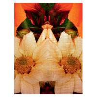 Фотопапір Xerox SRA3 Textured Paper (240) 100л (007R99136)