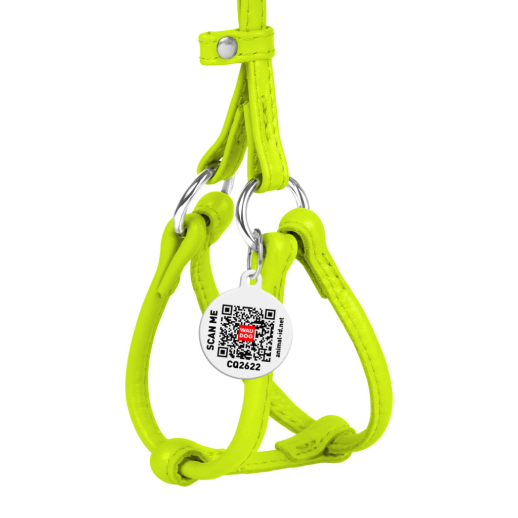 Шлея для собак WAUDOG Glamour з повідцем кругла Д 6 мм А 26-46 см В 30-50 см салатова (34015)