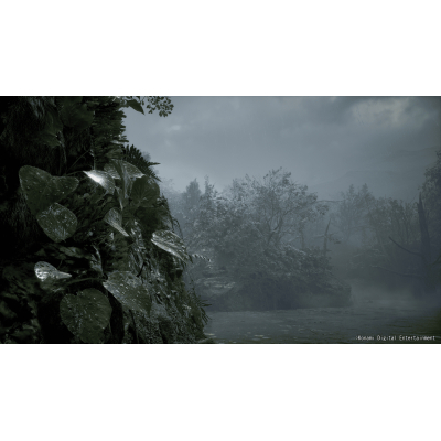 Гра Sony Metal Gear Solid Delta: Snake Eater Day 1 Edition, BD диск (4012927150856)