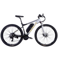 Електровелосипед Formula 29" eF-1 DD CS рама-18,5" 48B 12.5А*г 500Вт 2026 сріблясто-чорний (ELB-FR-29-250)