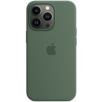 Чохол до мобільного телефона Apple iPhone 13 Pro Silicone Case with MagSafe Eucalyptus (MN673ZE/A)