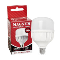Лампочка MAGNUM BL 80 30w E27 6500K (90015907)
