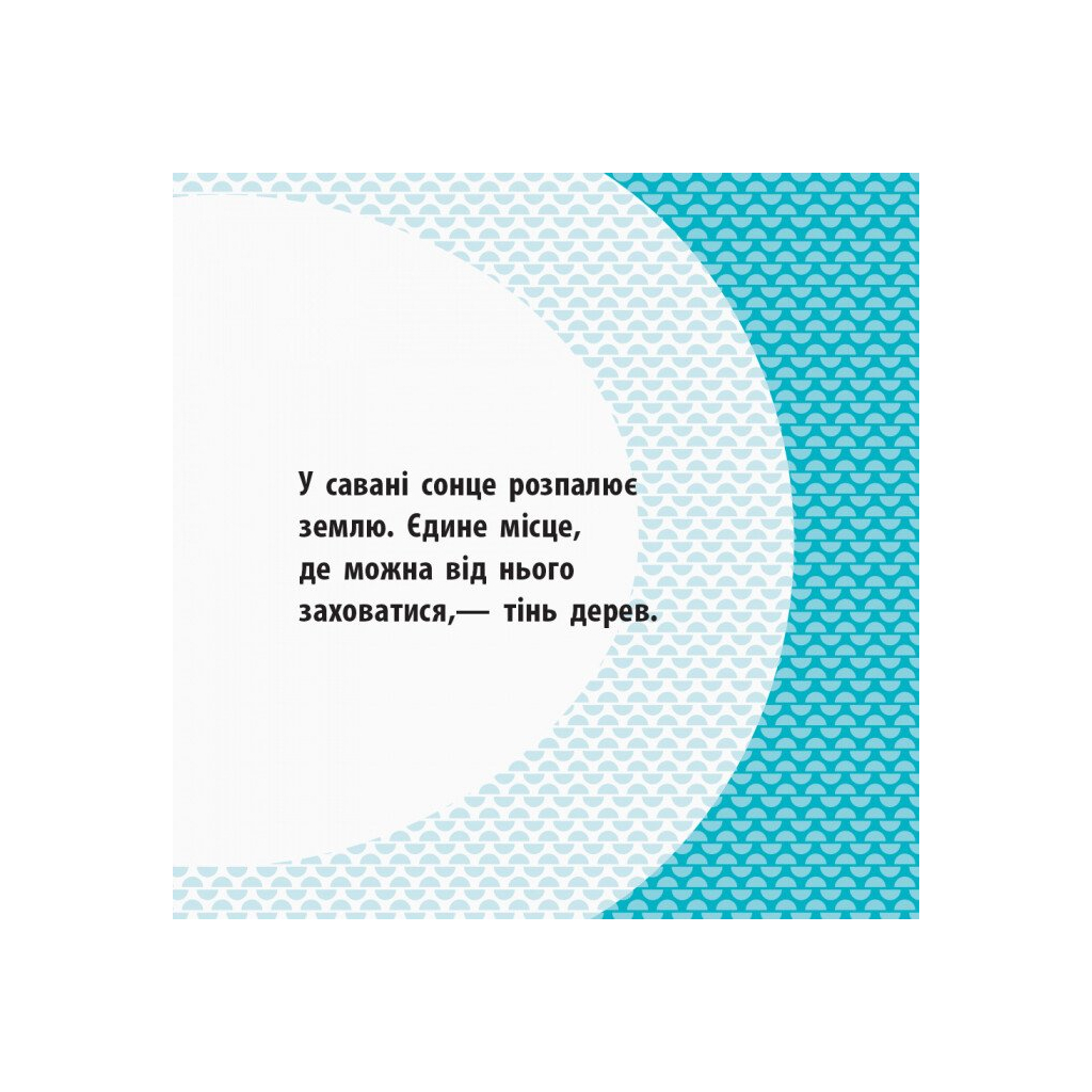 Книга Загін савани - Мадлєн Роджерс Ранок (9789667490140)