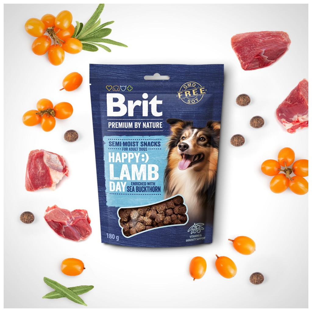 Ласощі для собак Brit Premium Semi-moist Snacks Lamb with Sea Buckthorn напіввологі з ягням і обліпихою 180 г (8595602573943)