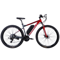 Електровелосипед Formula 29" eF-1 DD CS рама-18,5" 48B 12.5А*г 500Вт 2026 червоно-сріблястий (ELB-FR-29-249)