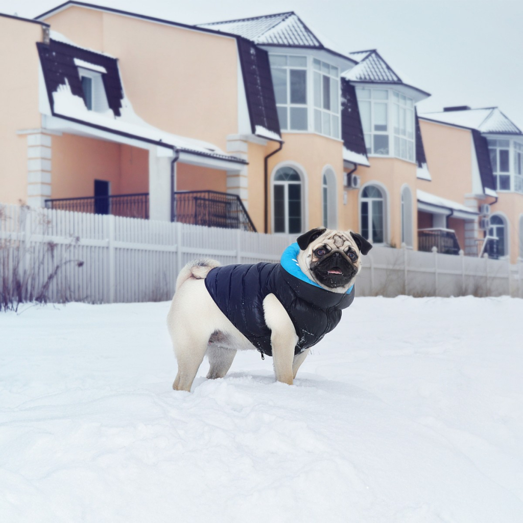 Курточка для тварин Airy Vest двостороння M 47 чорно-блакитна (1893)