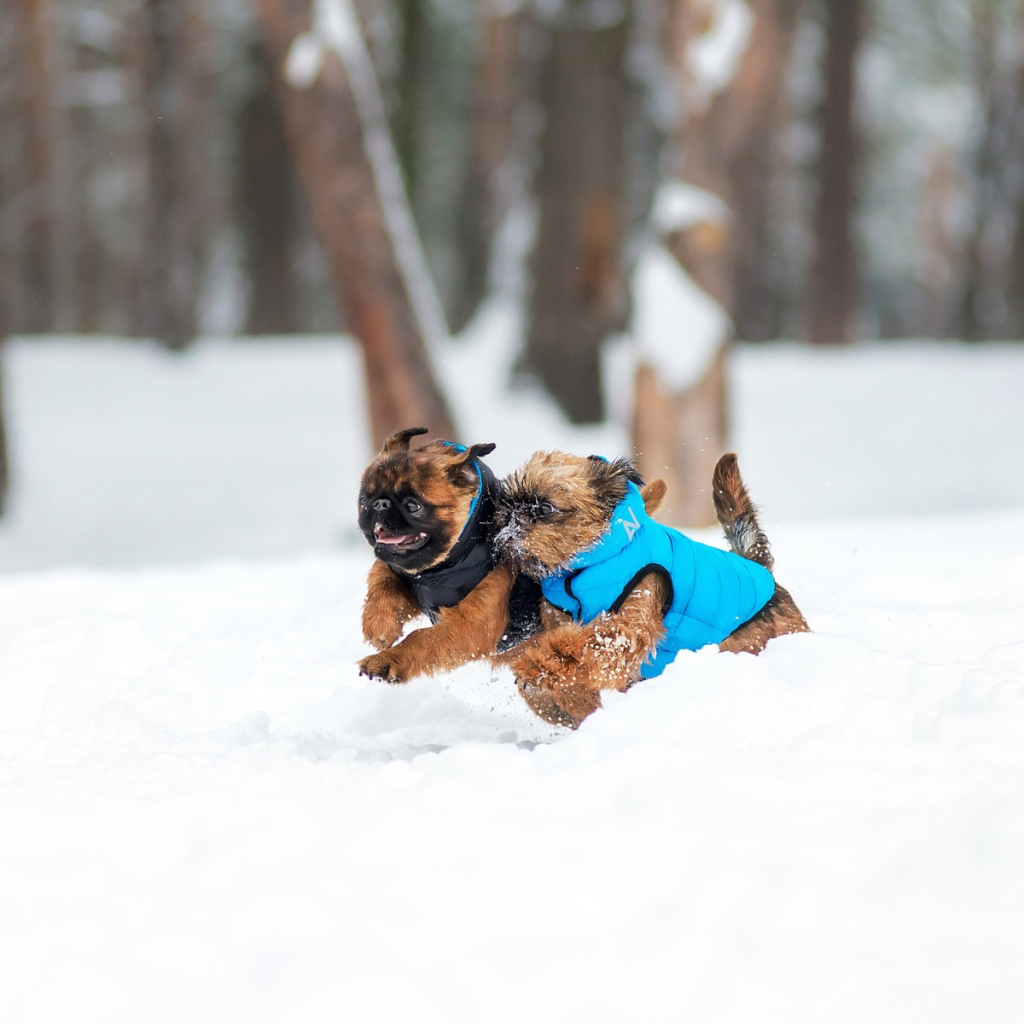 Курточка для тварин Airy Vest двостороння M 47 чорно-блакитна (1893)