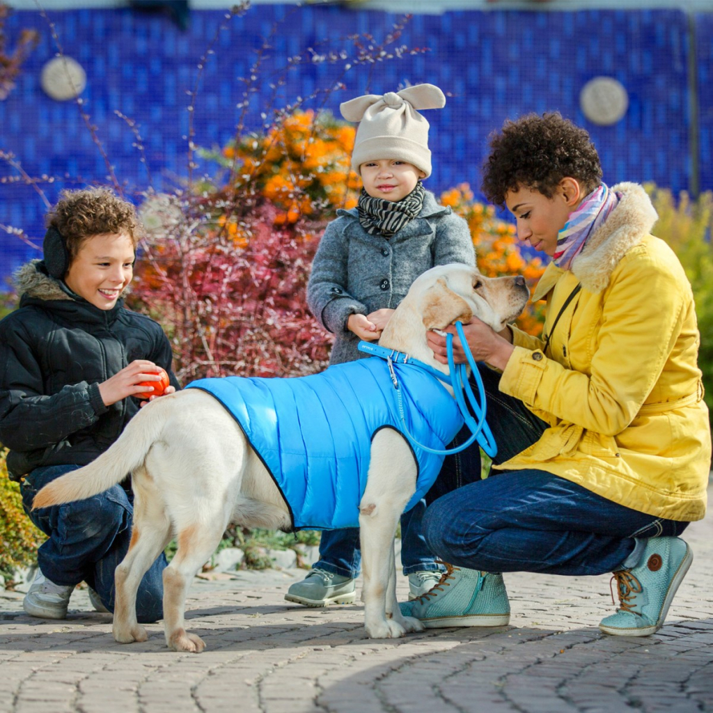 Курточка для тварин Airy Vest двостороння M 47 чорно-блакитна (1893)