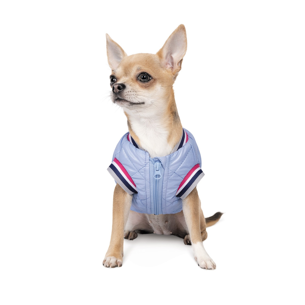 Бомбер для тварин Pet Fashion Spike XS (4823082430208)