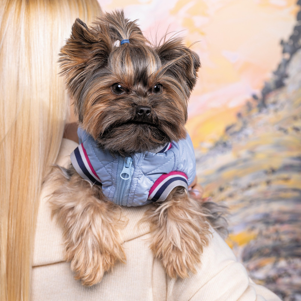 Бомбер для тварин Pet Fashion Spike XS (4823082430208)