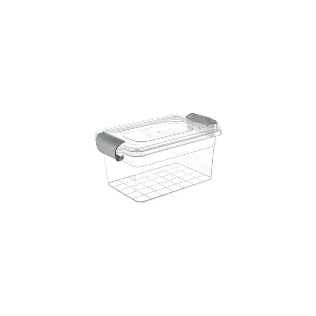 Харчовий контейнер Violet House Family Box Transparent 2 л (0463 FAMILY BOX Transparent 2 л)