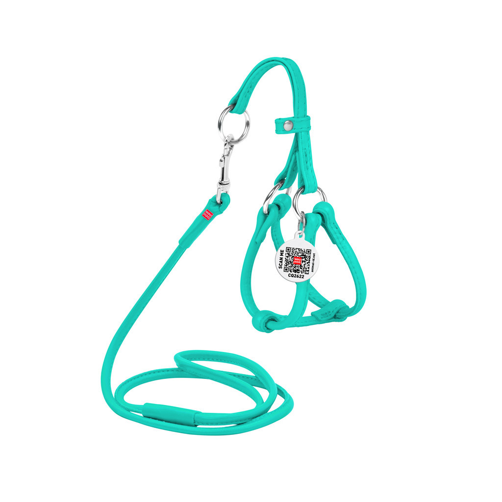 Шлея для собак WAUDOG Glamour кругла, з повідцем XXS ментолова (340113)