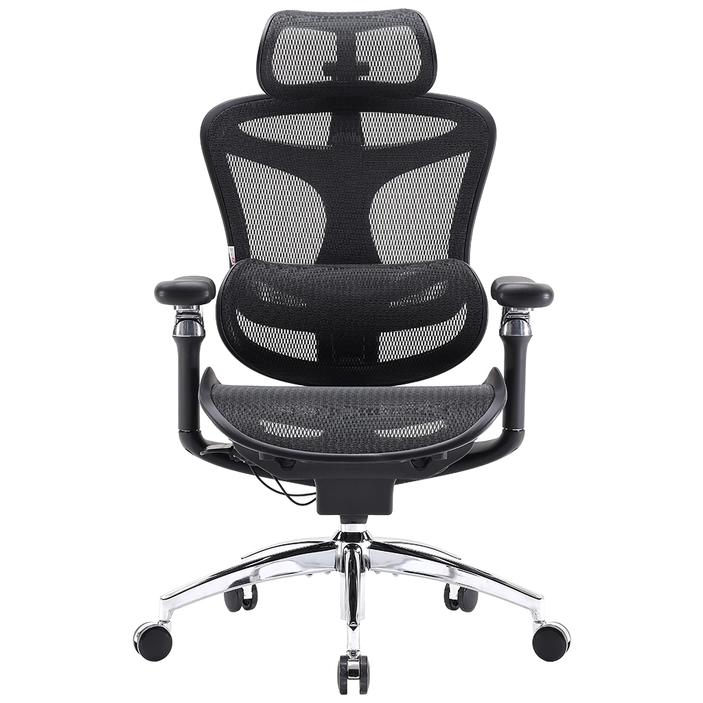 Офісне крісло Sihoo DORO C300 Pro Mesh Black (DORO-C300-PRO-M101)