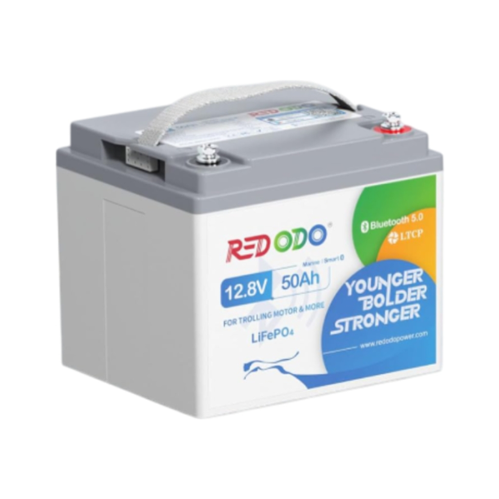Батарея LiFePo4 Redodo 12.8V-50Ah (R12V50-TM-BT-4-A38) Батарея LiFePo4 Redodo 12.8V-50Ah (R12V50-TM-BT-4-A38)