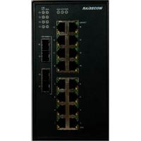 Комутатор мережевий Raisecom Gazelle S1020i-4GF16FE-DCW48 (S1020i-4GF16FE-DCW48)