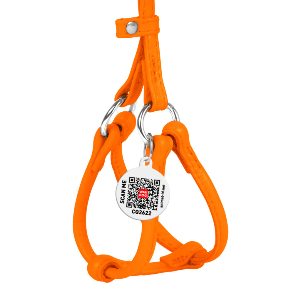 Шлея для собак WAUDOG Glamour з повідцем кругла Д 6 мм А 42-60 см В 46-64 см помаранчева (34024)