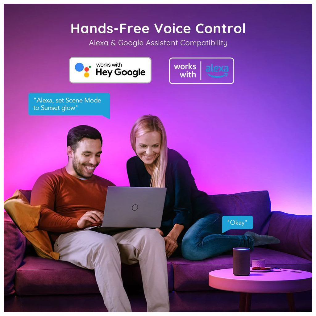 Світлодіодна стрічка Govee RGBIC Basic Wi-Fi + Bluetooth LED Strip Light 5м Білий (H618A3D1)