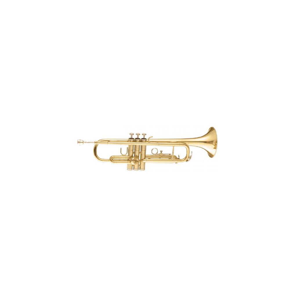 Труба Maxtone TTC30L (TTC1C)