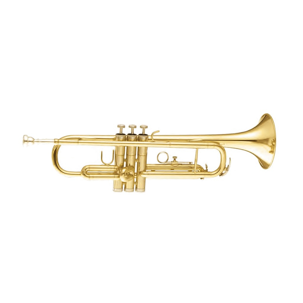 Труба Maxtone TTC30L (TTC1C)
