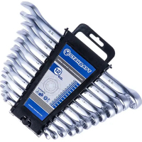 Wrench Standard combined 12 pieces 6-22 mm on holder (NKK12STE)