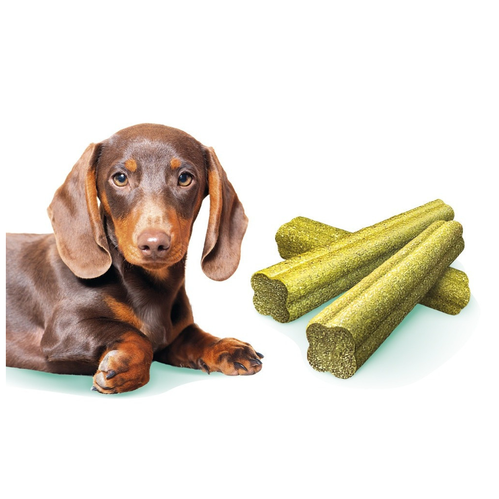 Ласощі для собак Brit Care Mini Treats Fresh Breath для малих порід для зубів і свіжості подиху 7 шт/120 г (8595602578580)