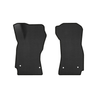 Interior mat EVAtech front Audi A4 (B5) 1994-1999 1 generation (AU13022AD2AV4RBB)