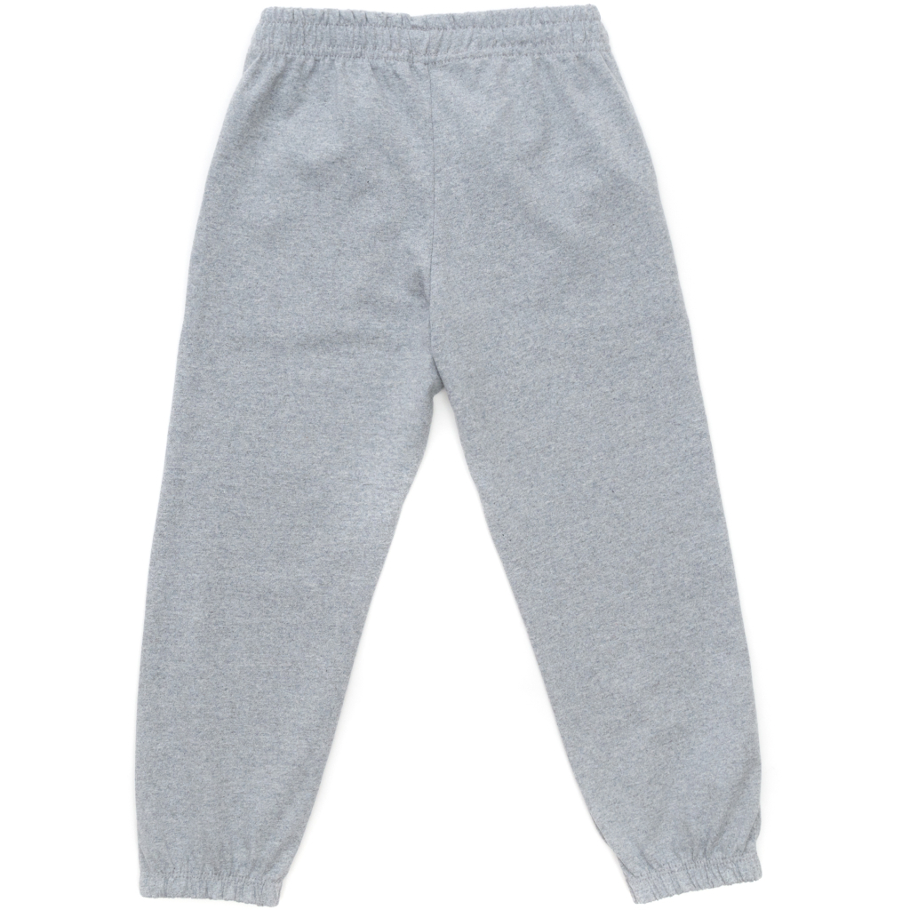 Штани дитячі Breeze спортивні (18751-116B-gray)