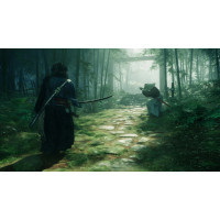Гра Sony Rise of the Ronin, BD диск [PS5] (1000042897)