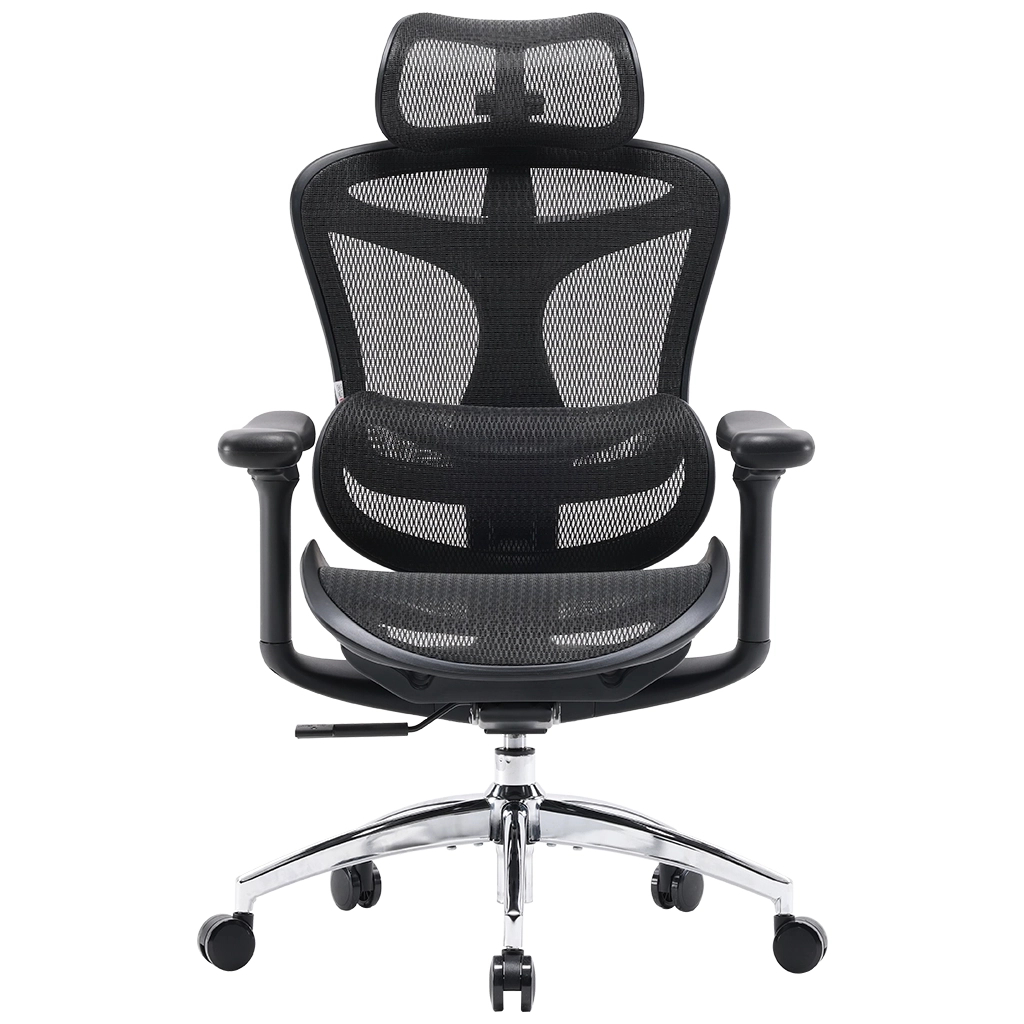Офісне крісло Sihoo DORO C300L Mesh Black (DORO-C300L-A3-101) Офісне крісло Sihoo DORO C300L Mesh Black (DORO-C300L-A3-101)