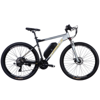 Електровелосипед Formula 29" eF-1 DD CS рама-21" 48B 12.5А*г 500Вт 2026 сріблясто-чорний (ELB-FR-29-254)