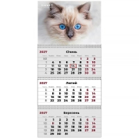 Axent quarterly wall calendar 2027, 3 Cats 2 (8803-27-8-A)