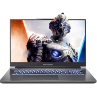 Ноутбук Dream Machines RX770M-17 (RX770M-17UA25)