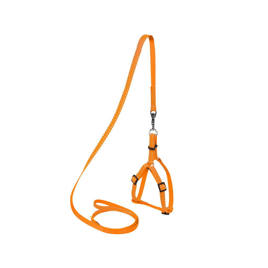 Шлея для собак Dog Extreme з нейлону регульована з повідцем Ш 14 мм Д 115 см помаранчева (07034)