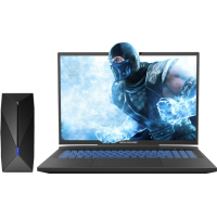 Ноутбук Dream Machines RX4090-17 (RX4090-17UA206)