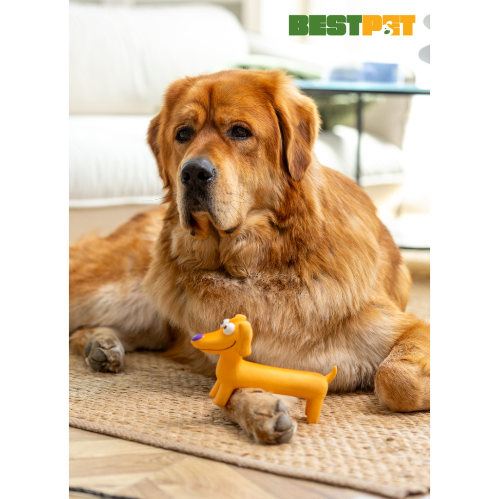 Іграшка для собак MISOKO&CO Собака коричневий 21 см (BEIRJ02939)