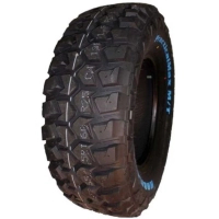 Шина Kapsen 265/70R16 LT 117/114Q RS25 (LT265/70R16RS25)
