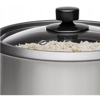 Мультиварка Russell Hobbs 19750 (19750-56)