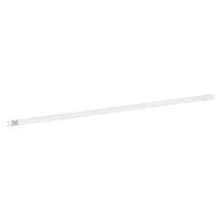 Light bulb MAGNUM FLE-002 18 W T8 4000K 220V G13 (90021053)