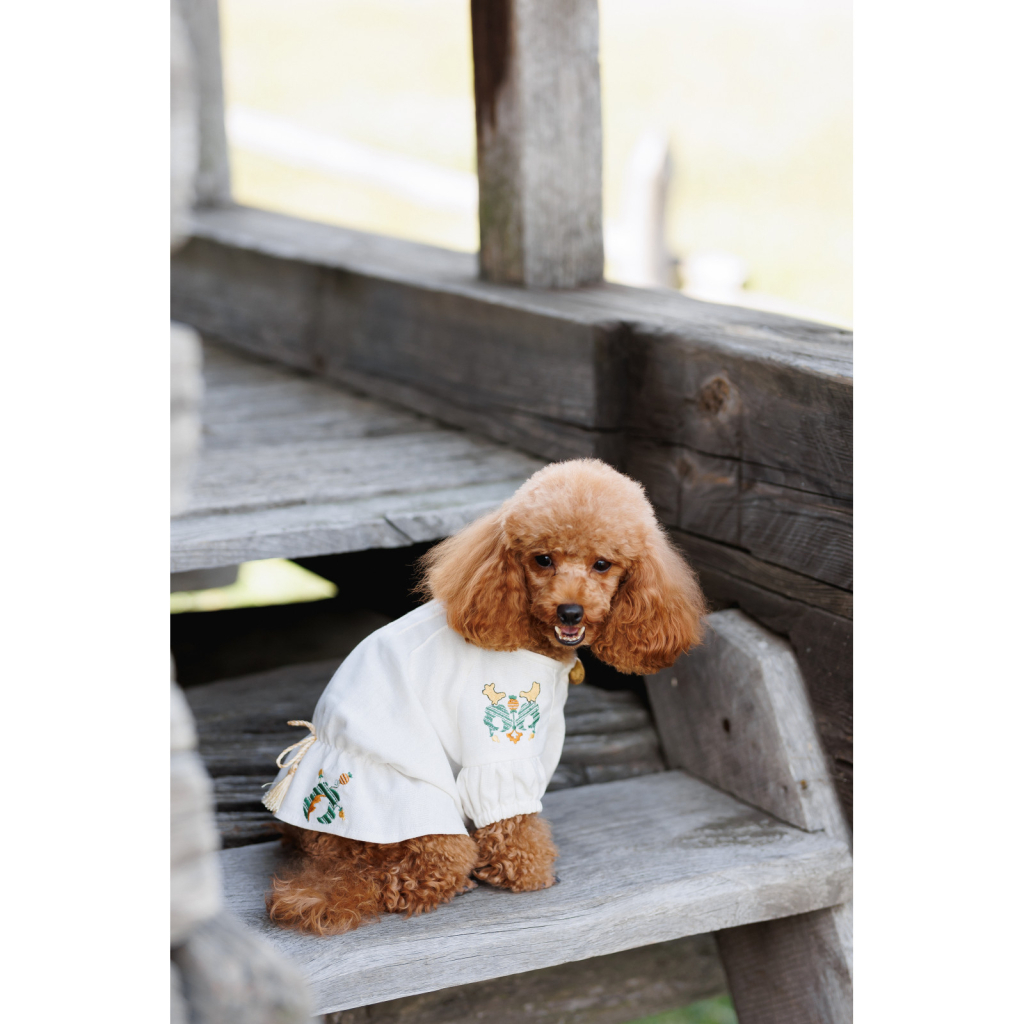 Футболка для тварин Pet Fashion Maryana XS (4823082439317)