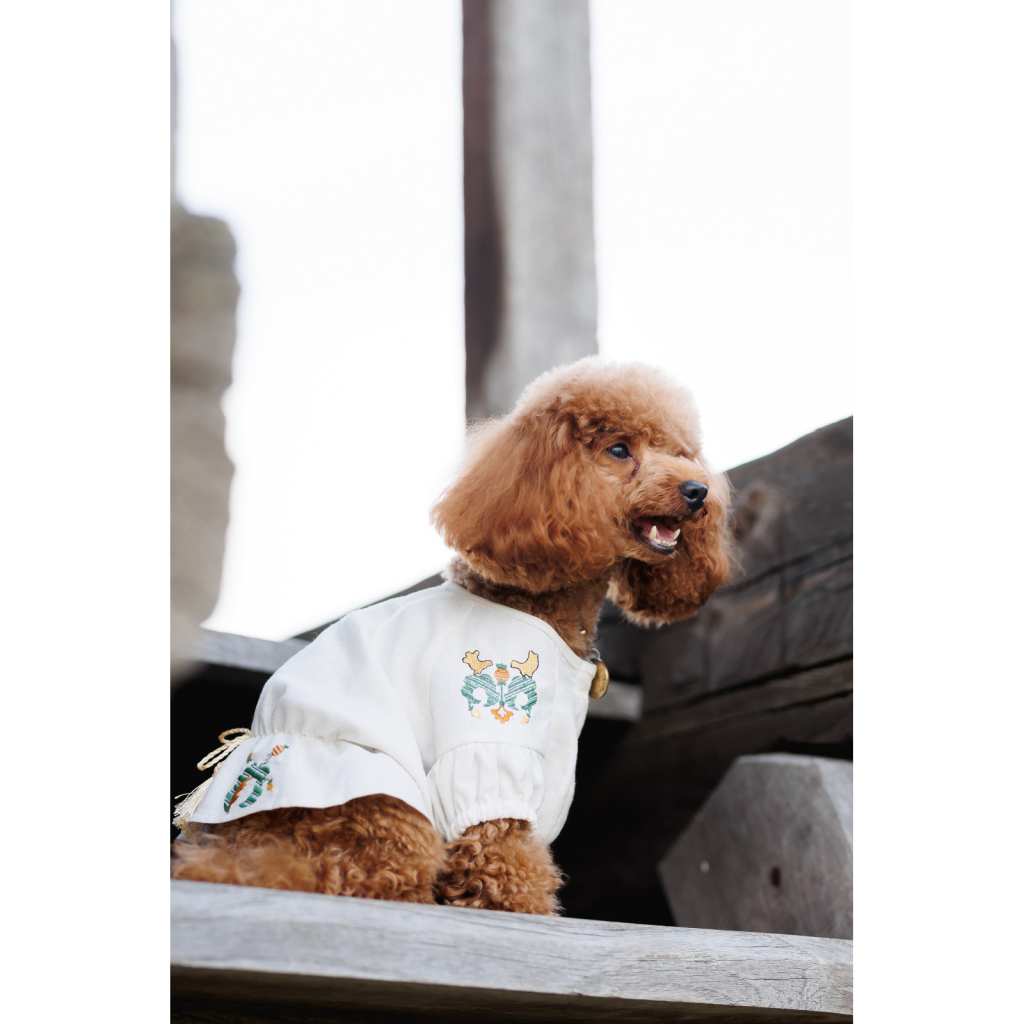 Футболка для тварин Pet Fashion Maryana XS (4823082439317)