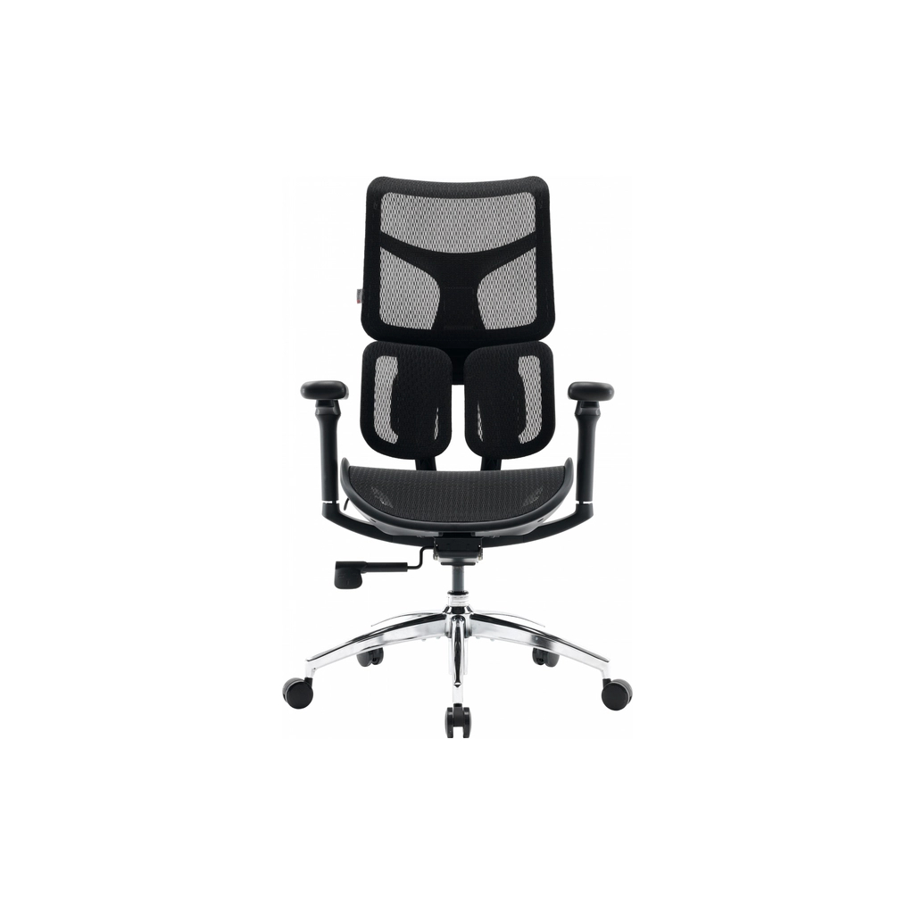Офісне крісло Sihoo DORO S100 Mesh Black (S100-M301) Офісне крісло Sihoo DORO S100 Mesh Black (S100-M301)