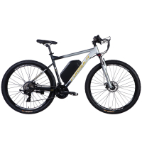Електровелосипед Formula 29" eF-1 DD CS рама-21" 48B 17.5А*г 500Вт 2026 сріблясто-чорний (ELB-FR-29-256)