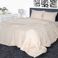 Bed linen Yaroslav Byaz smooth dyed with sheet B2 euro (43302)