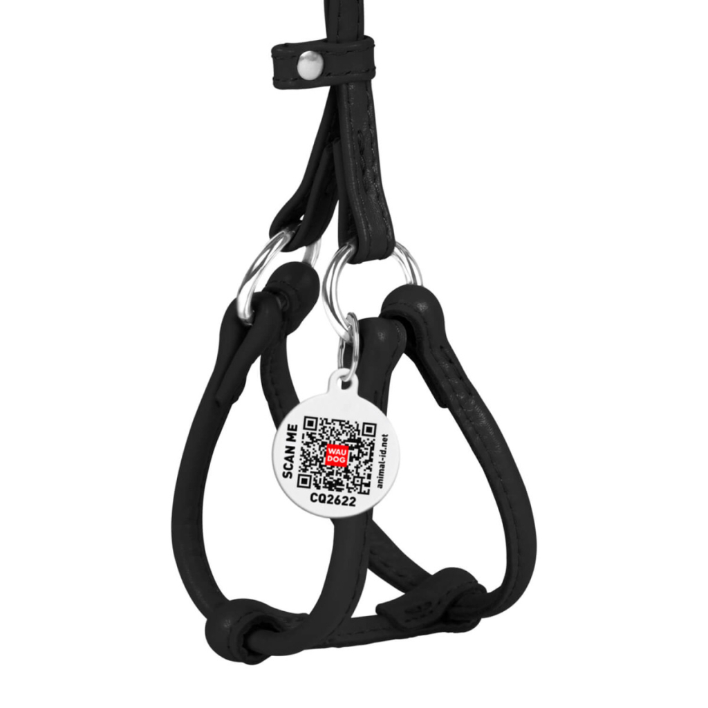 Шлея для собак WAUDOG Glamour з повідцем кругла Д 6 мм А 42-60 см В 46-64 см чорна (34021)