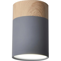 Світильник точковий Candellux 2284262 TUBA (2284262)