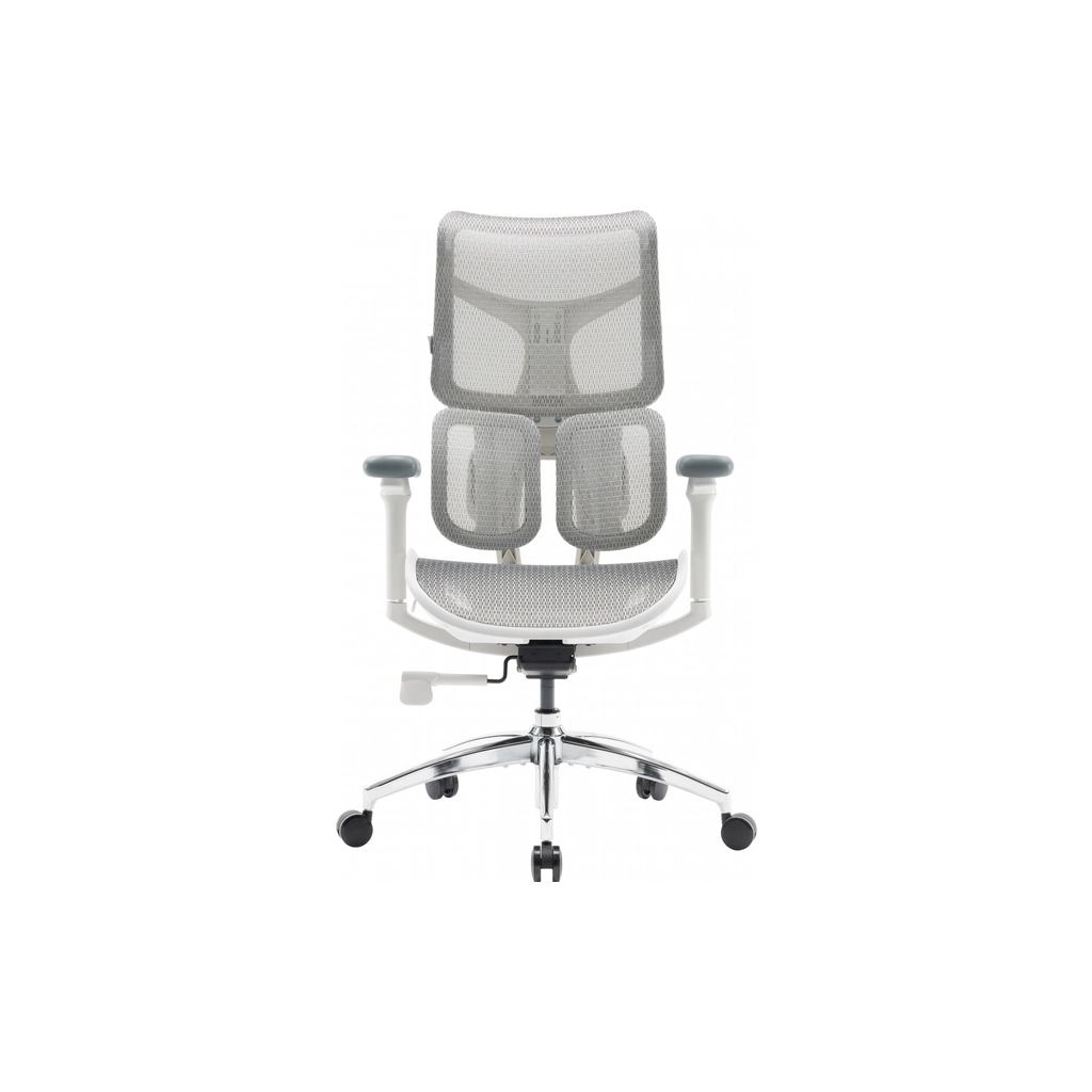 Офісне крісло Sihoo DORO S100 Mesh White (S100-M302) Офісне крісло Sihoo DORO S100 Mesh White (S100-M302)