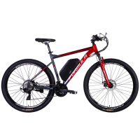 Електровелосипед Formula 29" eF-1 DD CS рама-21" 48B 17.5А*г 500Вт 2026 червоно-сріблястий (ELB-FR-29-255)