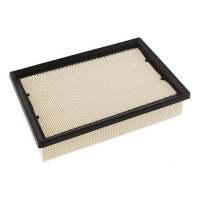 Champion CAF100867P car air filter